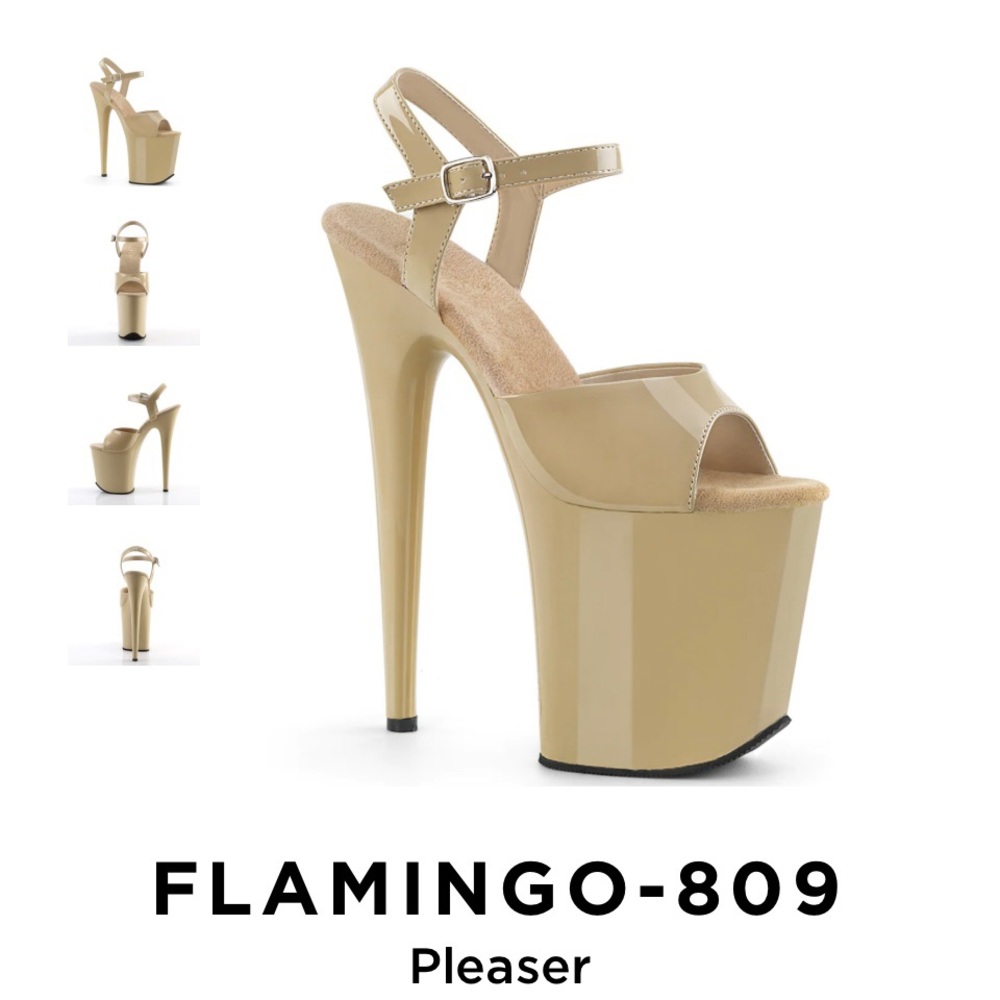 Pleaser Flamingo 809 Size 11 New in Box